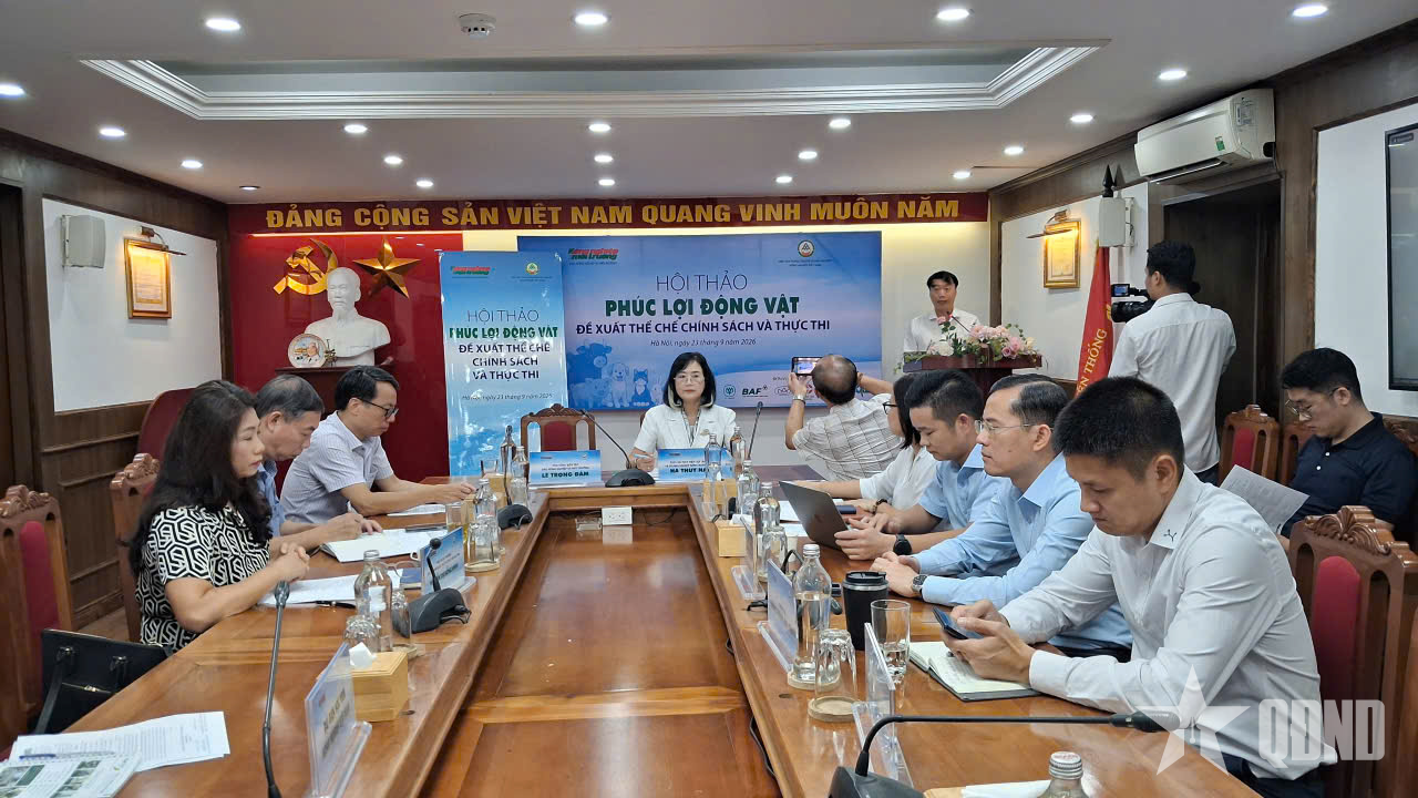 Xây dựng phúc lợi động vật cho từng đối tượng vật nuôi để ngành chăn nuôi phát triển 